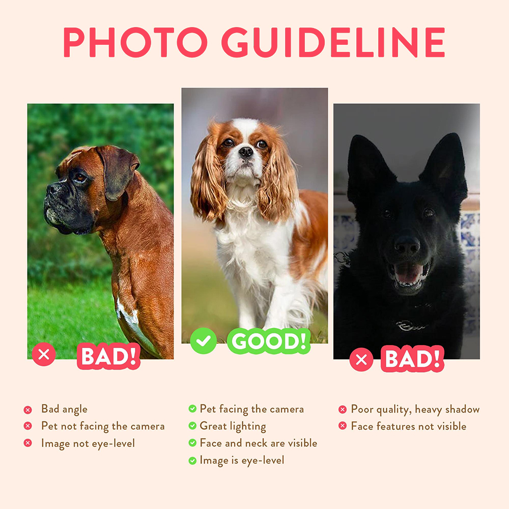 맞춤형 반려동물 초상화 사진 이름이 적힌 강아지 고양이 - Photographic Memory 리뷰 및 가격