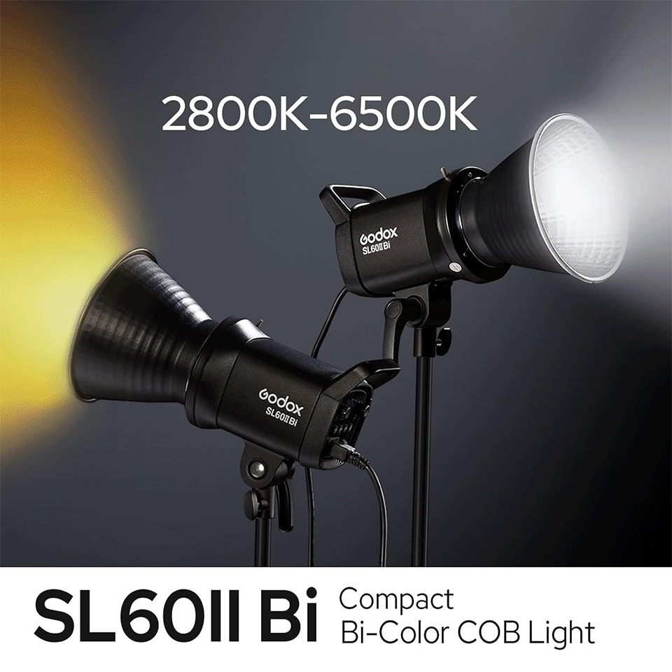 Godox SL60IID SL60IIBi 75W 주광  - Strobe Light Studio 리뷰 및 가격
